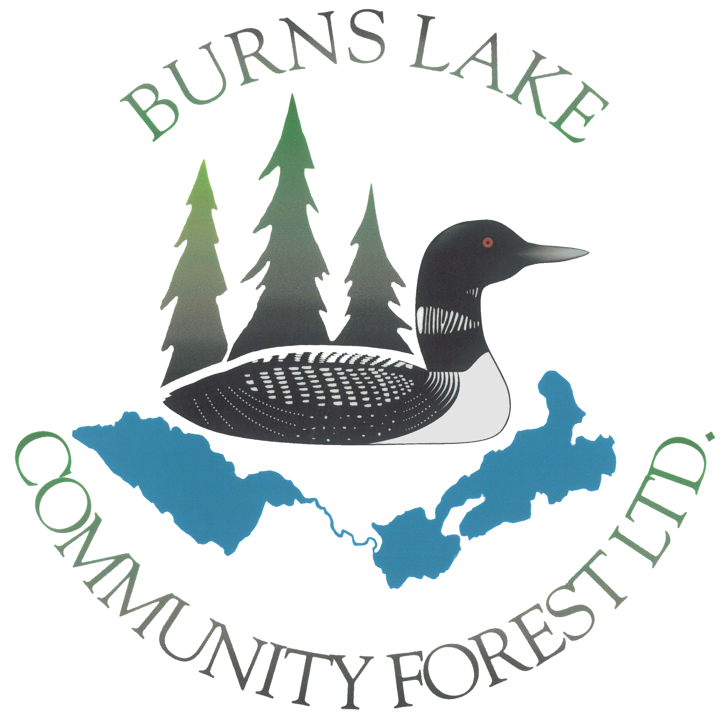 Silver - BLCommFor logo.png