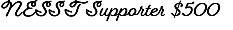 NESST Supporter Banner.png