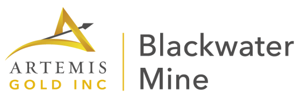 Atremis Gold Colour.png