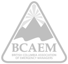 BCAEM Logo grey.png